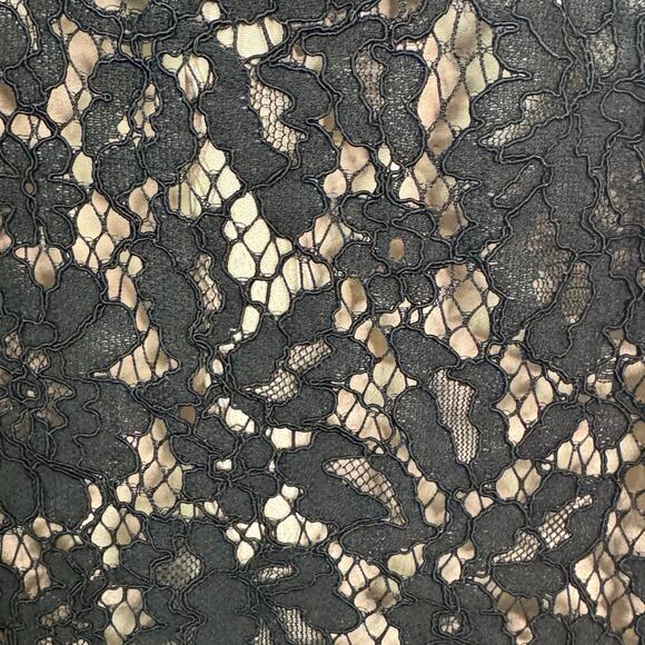 J Crew Size 2 Black Lace and Nude Sleeveless Dress with Pockets - Picture 7 of 9